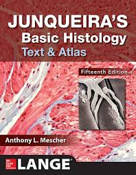 Junqueira’s Basic Histology Text and Atlas 15th Edition
