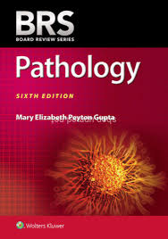 BRS Pathology 6th Edition