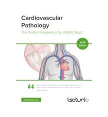 Cardiovascular Pathology The Perfect Preparation for USMLE Step 1 2019 Lecturio