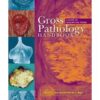 Gross Pathology Handbook A Guide to Descriptive Terms