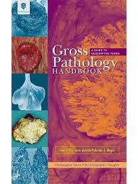 Gross Pathology Handbook A Guide to Descriptive Terms